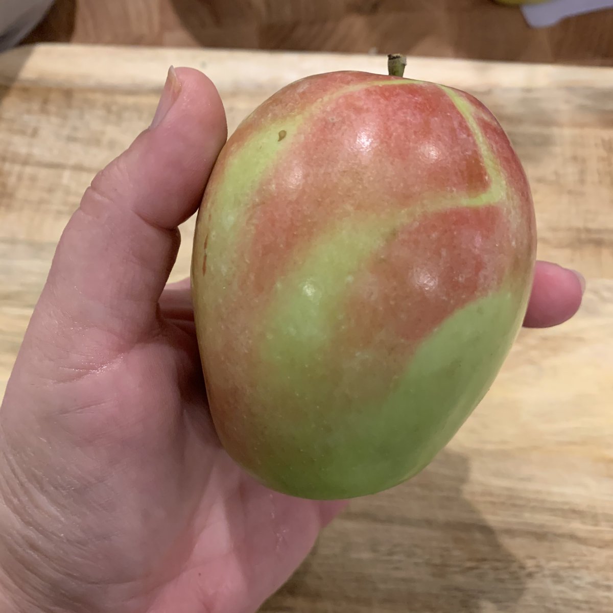Meet “Kandil Sinap”, an heirloom from the 1800s, allegedly from Turkey (though maybe Russia, really) — note the sexy elongated shape and pretty coloring! The flesh is bright and creamy, juicy, but with a very mild (neither sweet nor tart) kinda... watery flavor. 6/10 bc pretty