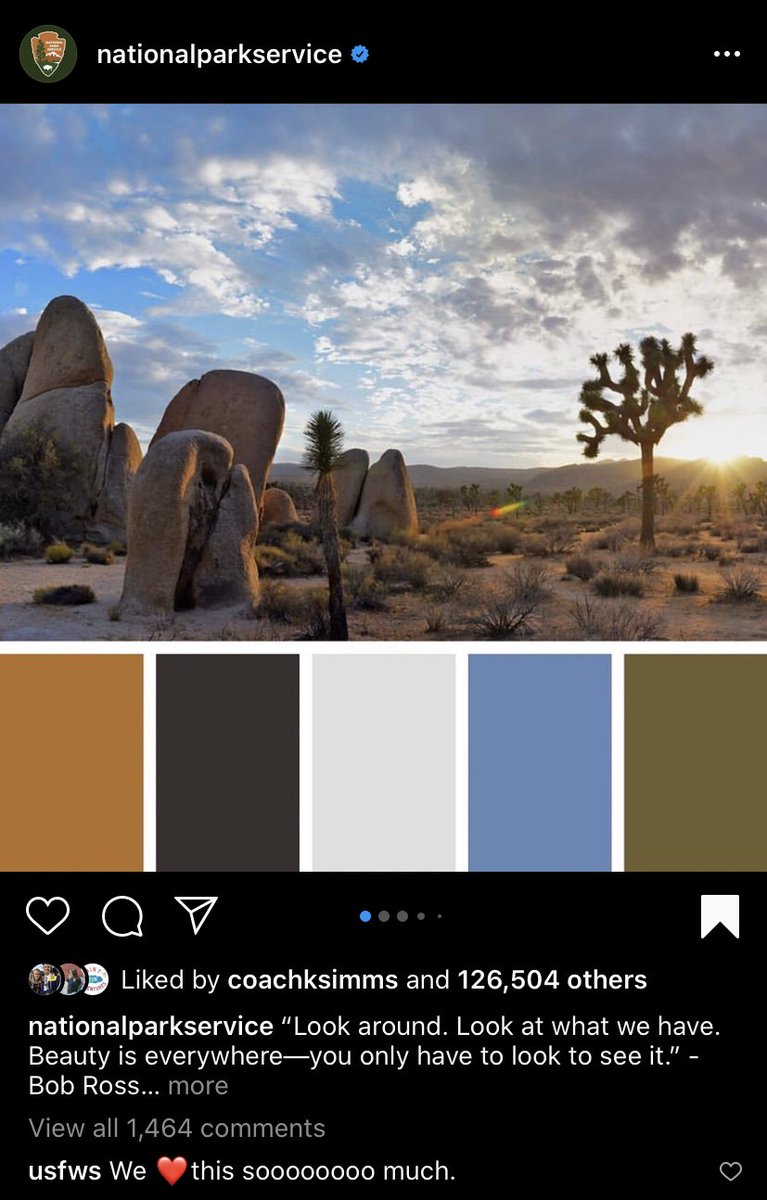 Jess Smith tweet media