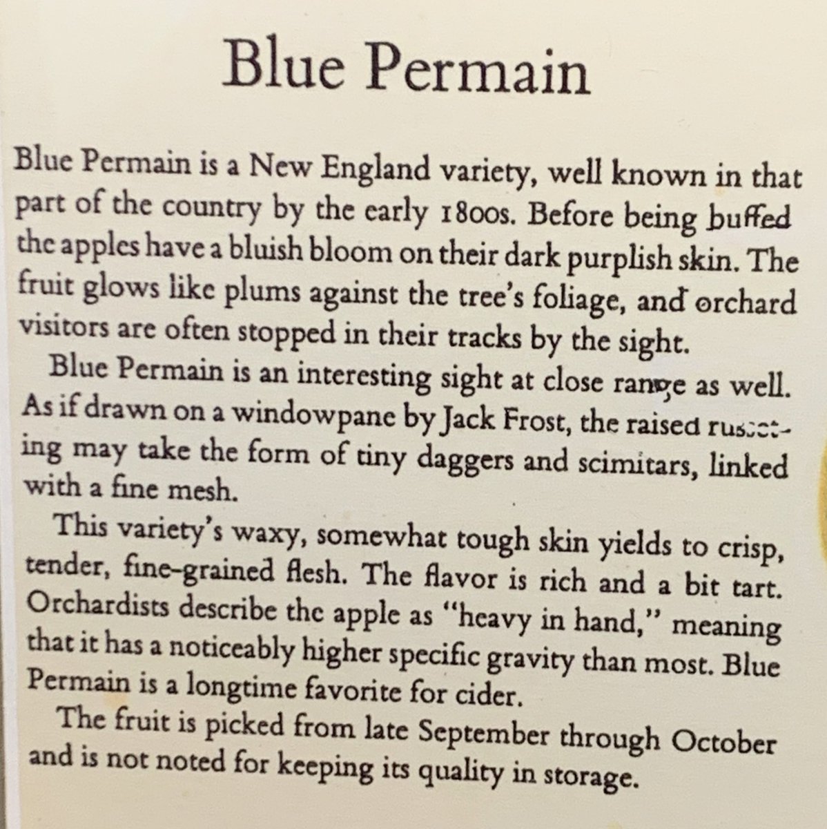 Blue Permian, New England 1800s. This apple has a thick russeted skin and VERY dry flesh. It’s kinda bitter. It’s like this face  made into a fruit. Honestly I dislike this apple a LOT, could not eat much, however the description of it here is so good, I’m gonna give it a 2/10.