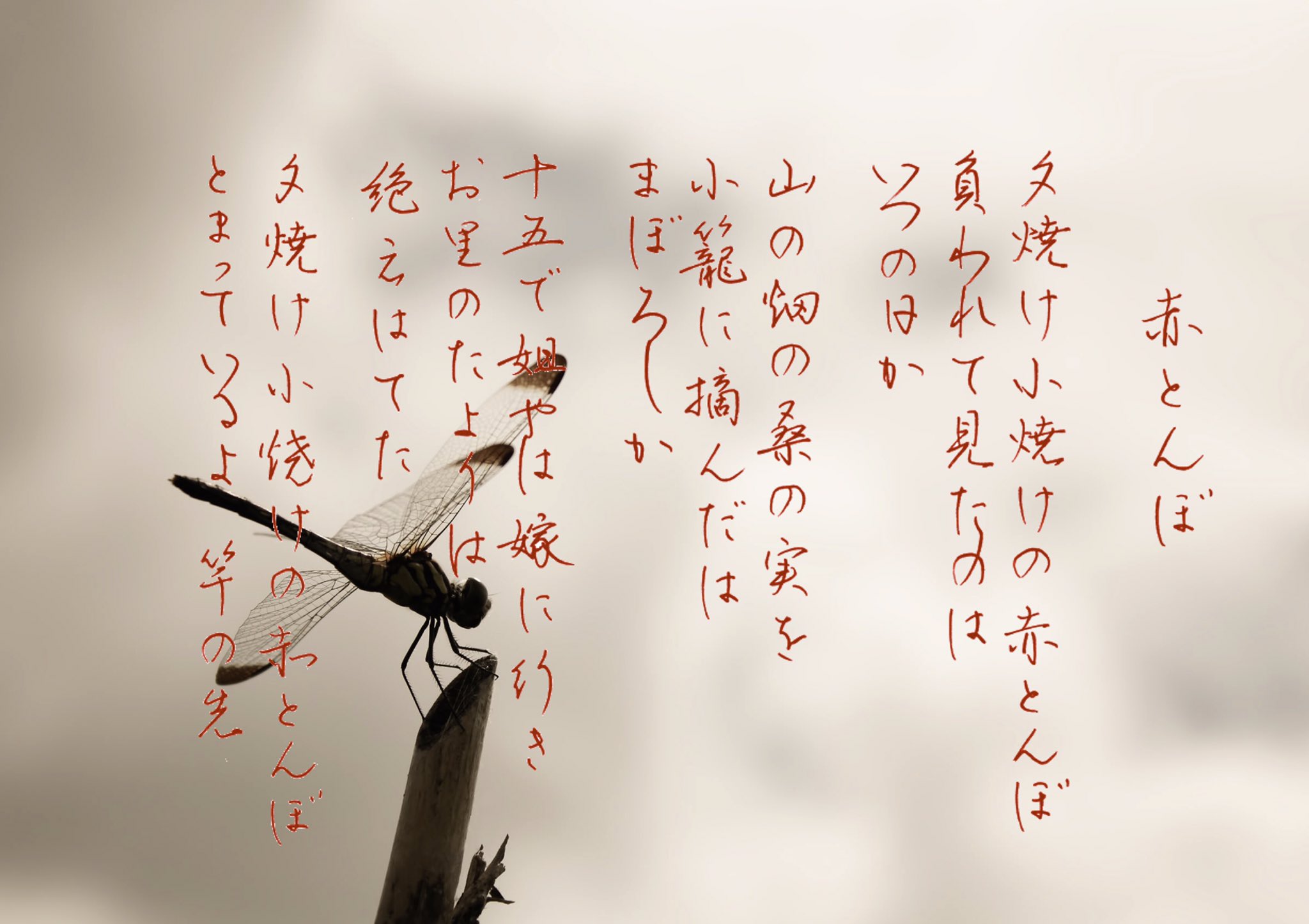 らくだ〜♪ on X: 