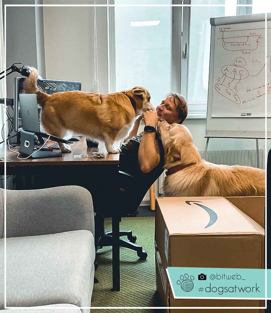 Another day at the office ❤

📸: instagram.com/bitweb_