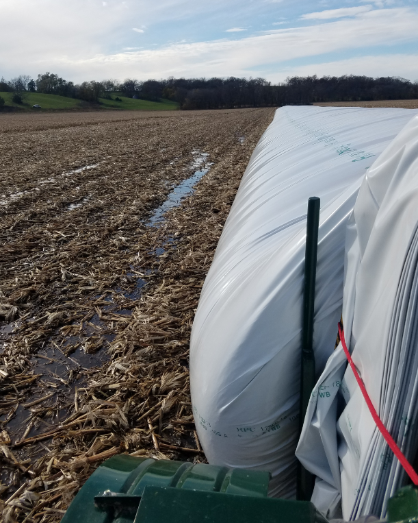 DammannFarms's tweet photo. unloading grain bags in rain is no problem either! On our farm last year #bagyourgrain https://t.co/lgeUzDDKfH