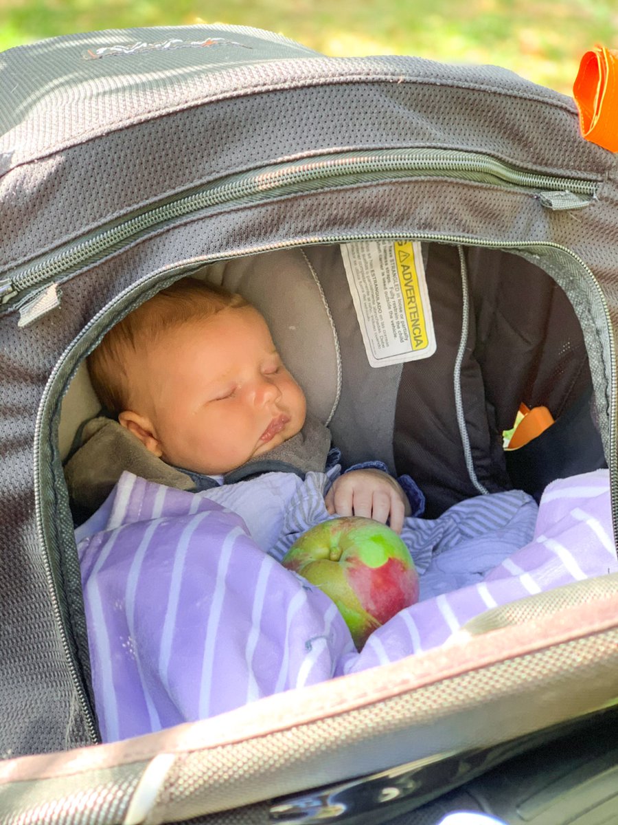 Enjoyed some family time ❤️🍏 <a href="/MrWardHistory/">Mr. Ward</a>