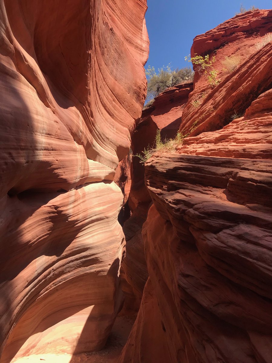 AngelaMMBaumann's tweet photo. Forget Vegas! #LittleBlueCup thinks the best slots are in Utah. @BLMUtah #peekaboocanyon #nttdataservices https://t.co/9YXJTP6YPE