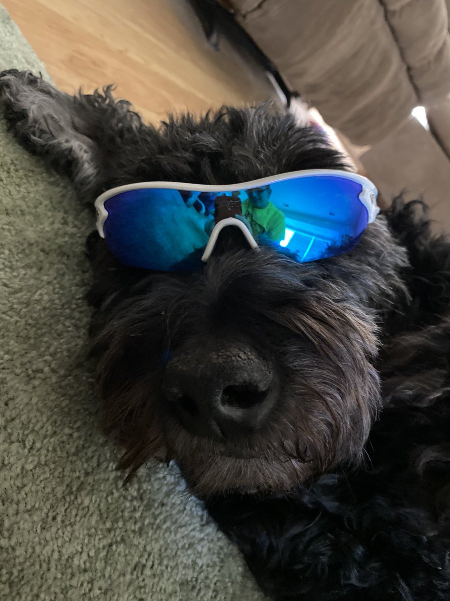GamingDestinyMC's tweet photo. So I have some bad news...

Dora hasn’t been doing very good and we made the difficult decision to put her down. I’m trying to decide if i should make a video going into detail on what happened, but I also figured that you all deserved to know. We are doing it tomorrow. https://t.co/bkmY9P6bSv