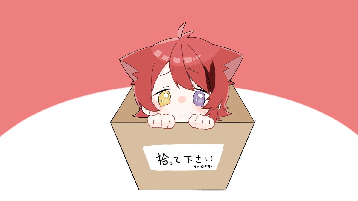 animal ears in box heterochromia in container red hair solo box  illustration images