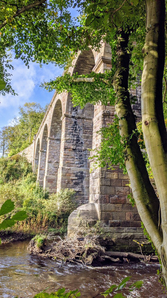#NiddGorge makes up approximately 3 miles of the entire length of the river, and stretches from the now defunct viaduct at #Bilton in Harrogate to #GrimbaldBridge, just south of #Knaresborough.

#RiverNidd #GreatWhernside #Nidderdale #NunMonkton #Harrogate #NidderdaleGreenway