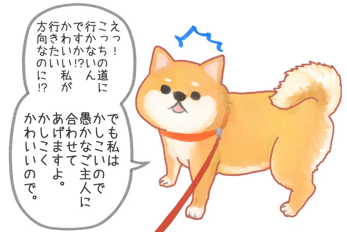 かわいい顔で散歩のコースについてイヤミを言う柴犬 