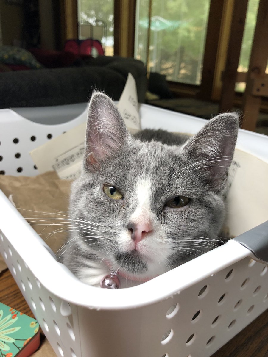 Suzanne Earley tweet media