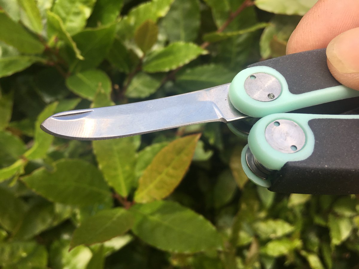 presentmill's tweet image. Autumn is a great time for walking however you may also meet a few brambles! Apples to Pears have devised these clever folding secateurs. Keep them in your pocket to snip any brambles in your path with the rust-proof stainless steel blades that cut stems up to 15mm thick.

#gift