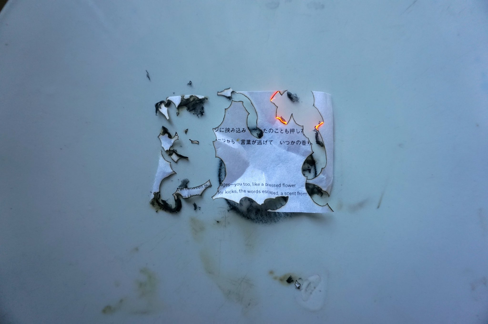 تويتر 菅原 敏 على تويتر 詩集 果実は空に投げ たくさんの星をつくること 一刷が完売に お買い上げ頂いた皆さま ありがとうございます 秋の夜に火をつけてお楽しみ下さい 近日中に追加分が補充される予定です 今しばしお待ちを T Co Dtsoybxxcg تويتر 菅原 敏 على تويتر 詩集 果実は空に投げ たくさんの星をつくること 一刷が完売に お買い上げ頂いた皆さま ありがとうございます 秋の夜に火をつけてお楽しみ下さい 近日中に追加分が補充される予定です 今しばしお待ちを T Co Dtsoybxxcg