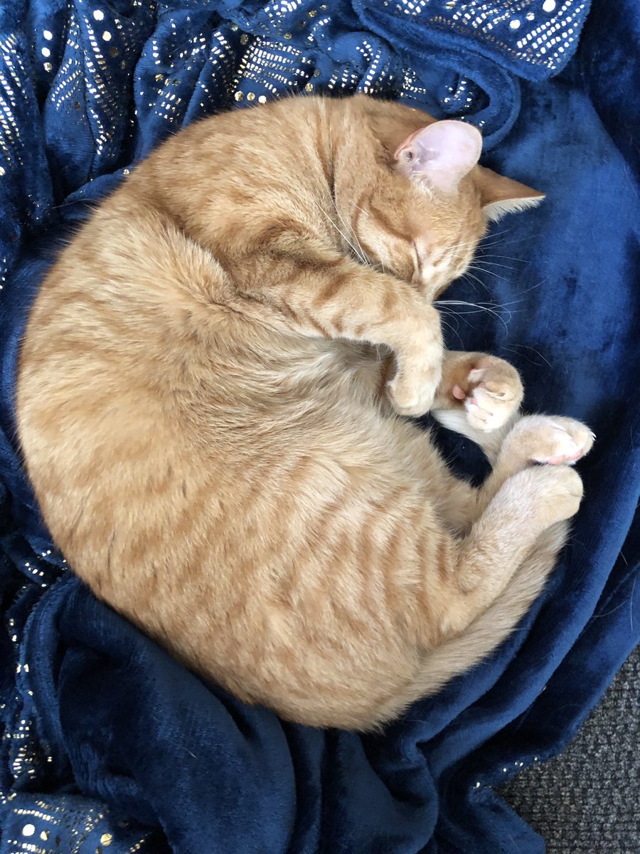 Suzanne Earley tweet media