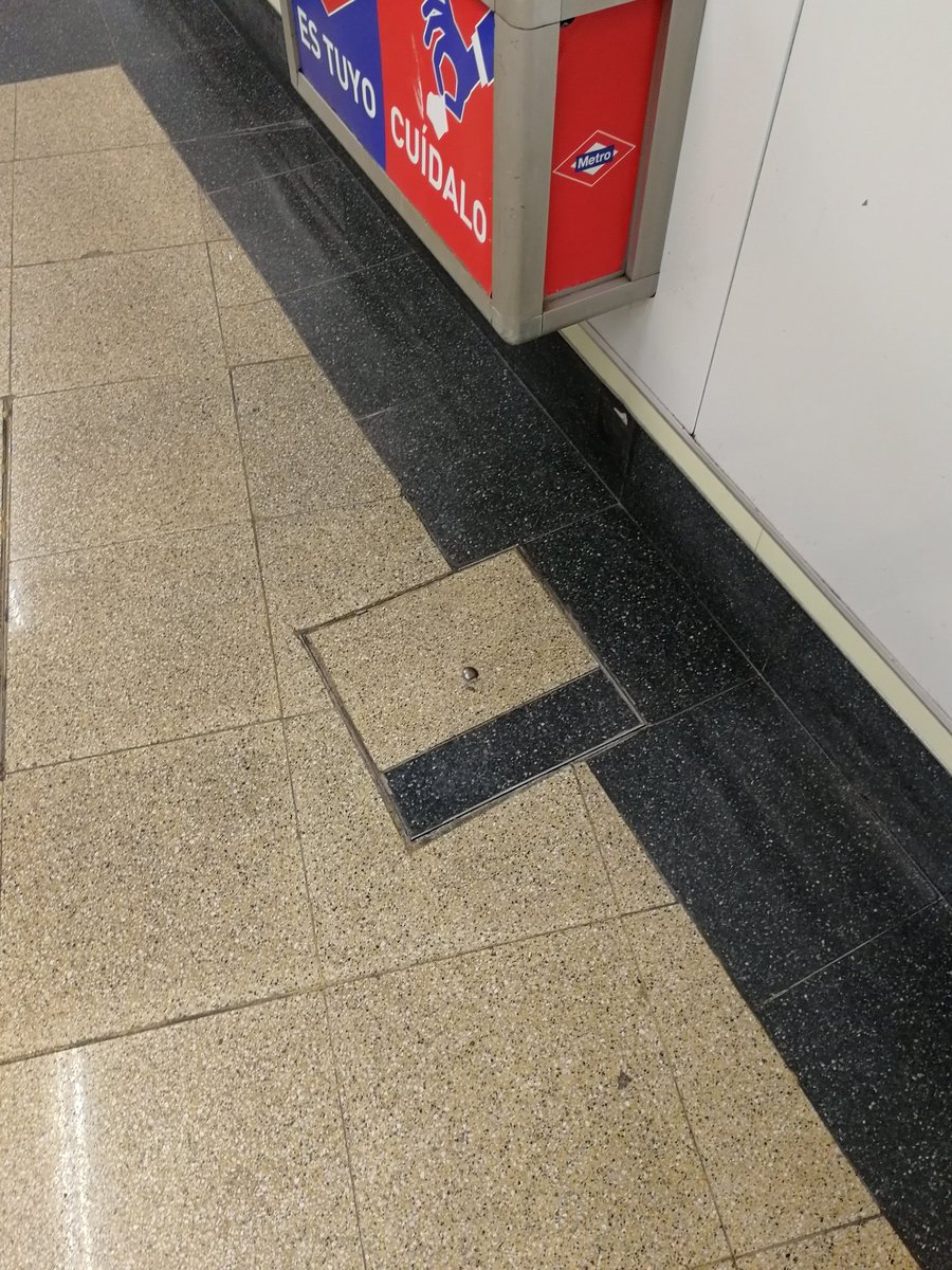 Si yo lo he visto vosotros también