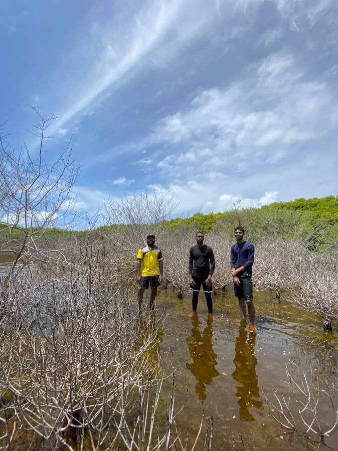 Mangrove die-offs are being observed in Sh. Farukolhu as well. Authorities need to conduct proper assessments and policies to address this ASAP! Farukolhu was listed as a PA in 2018, however no management plans so far!! 
#ClimateEmergency #mangrovesmatter

Photo: Raafiu
