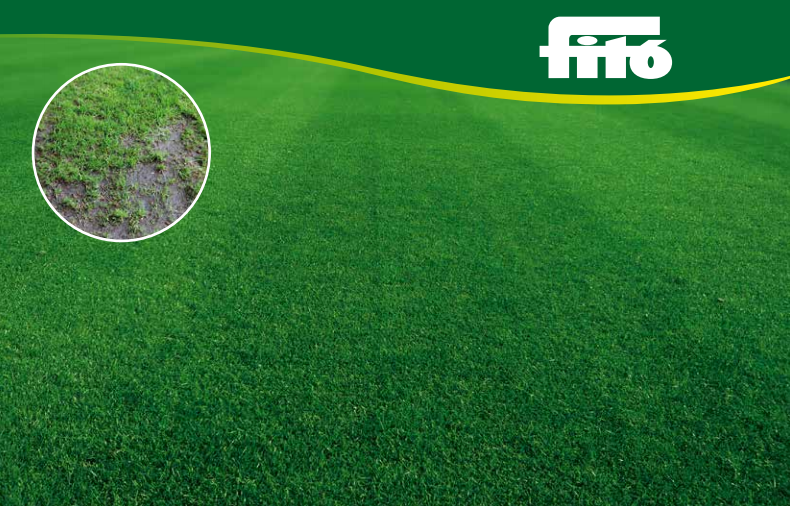 SemillasFitoTG's tweet photo. 🌱 Our variety #Repoblador, is an #all-terrain grass of intensive use, fast and easy to establish. Ideal for replanting or as a base mix for #football, polo, #tennis, street, tees and #quality gardening fields ⚽🎾

👉 https://t.co/Fubar0ydMu https://t.co/1mN9vZMZdi