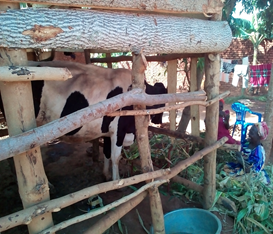 Skills Development Facility Uganda tweet media