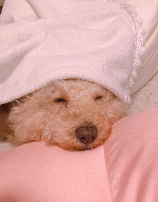 おネムちゃん🥺♡ https://t.co/PoH9lVz7jv<a href="/tag/naruto"class="tags"><span>#naruto</span></a><a href="/tag/fortnite"class="tags"><span>#fortnite</span></a><a href="/tag/narutoxfortnite"class="tags"><span>#narutoxfortnite</span></a>