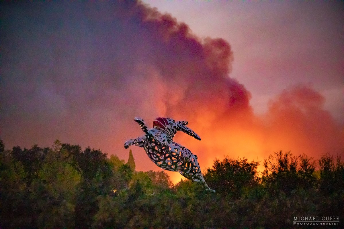 I snapped this shot of the famous @HALLWines bunny leaping out of the way as the #GlassFire just as it was starting the #ShadyFire / #BoysonFire and headed to #SantaRosa around dusk.  📸@MikeCuffe @sfchronicle @nytimes