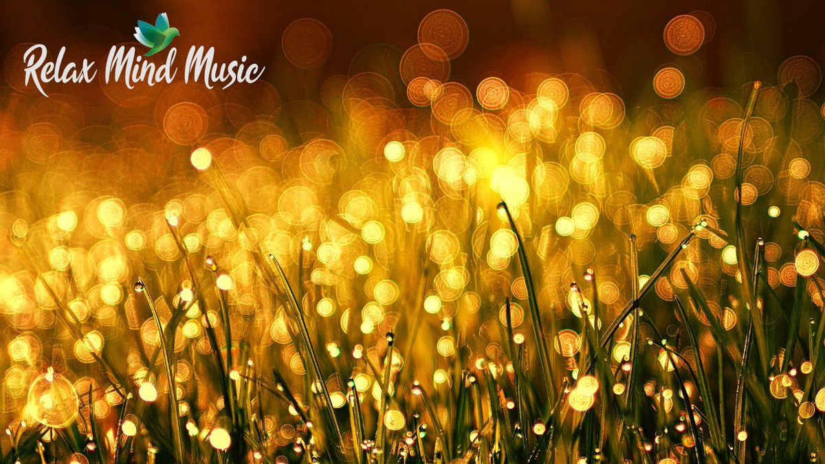 KevinDgmark's tweet photo. Relaxing Piano Music For Studying, Focus and Stress Relief https://t.co/UqtinobtrI via @YouTube https://t.co/yINvfZbz4M