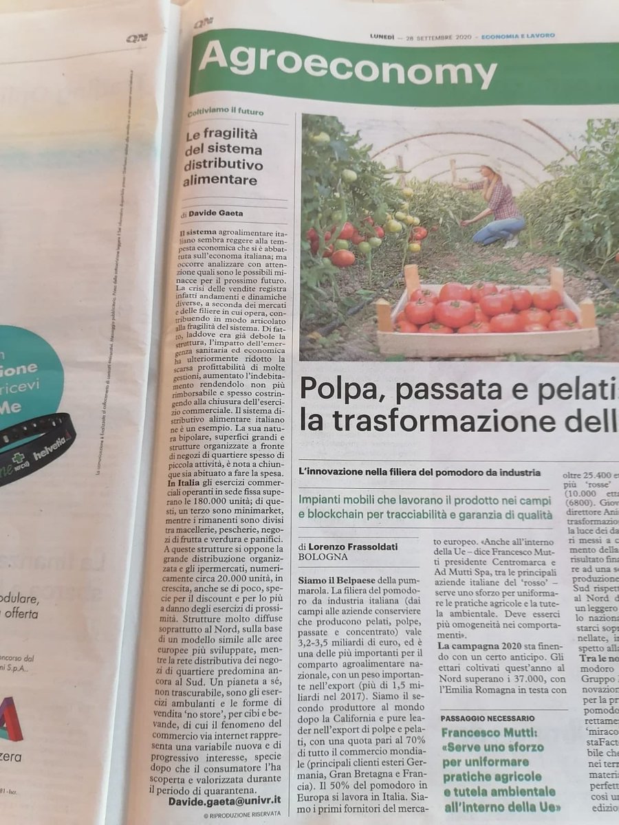 Davidenicolaga1's tweet photo. La fragilità del sistema distributivo alimentare, ne discuto oggi su @qn_giorno #agroeconomy https://t.co/MGuvuV9uPa