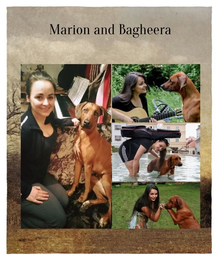 MarionFiedlerTN's tweet photo. We will watch out for you so you have a good new week! 🙂 Bagheera and I love Mondays. Here is our #MondaySong for your happy new week:
https://t.co/YWrdc1DkjC
#BirdsFlyWithoutLuggage
Enjoy the song and your Monday, and leave a greeting below please! #aMarionThang #Songwriter https://t.co/ckUFshvyYm