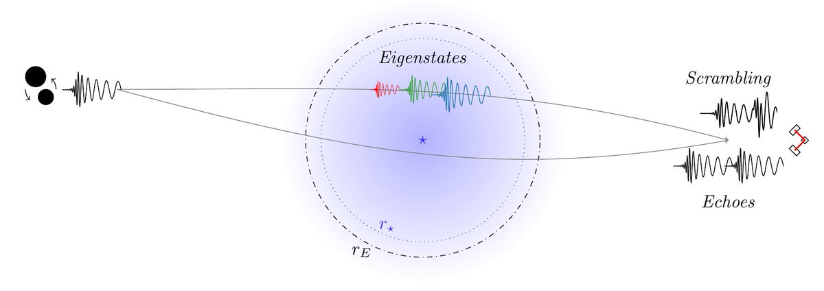 A gravitational lens spontaneously breaks symmetries, allowing couplings between GWs and scalar fields forbidden in homogeneous space.Around the lens +,x & scalar polarizations combine into propagation eigenstates, which evolve independently and may have different speed [2/n]