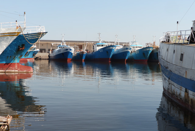 pesceinrete's tweet image. Tra mala gestio europea e negoziati al limite del lecito, si allungano i tempi del #dissequestro dei marittimi italiani
bit.ly/3cJ44Qb