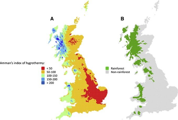 A good definition of rainforest is forest wet enough to support epiphytes - plants that grow on other plants. This is where we would expect to find it ( https://www.sciencedirect.com/science/article/abs/pii/S1470160X16303016):