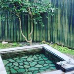 ツイートに含まれる画像