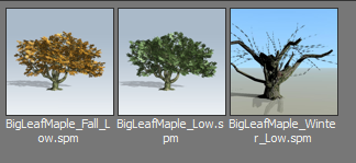 Here are a set of the trees that I was talking about in the previous tweet. Some of them have 3 different versions (2nd pic) for each season.  #SpeedTreeLook at the next tweet of this thread for more trees! #madewithunity  #indiegames These took most of this summer to be ready! :)