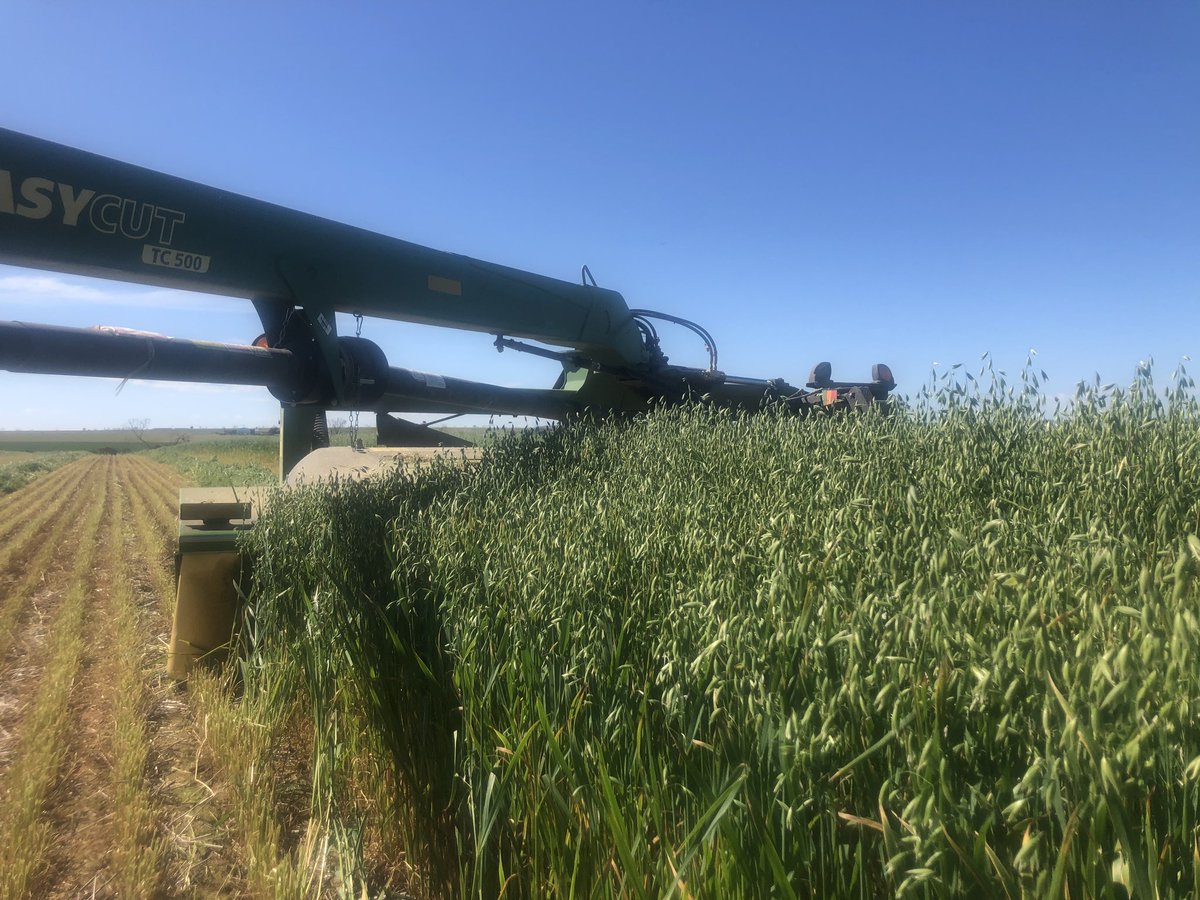 Last block of hay comin down. Not a lot in a bale yet between weather fronts