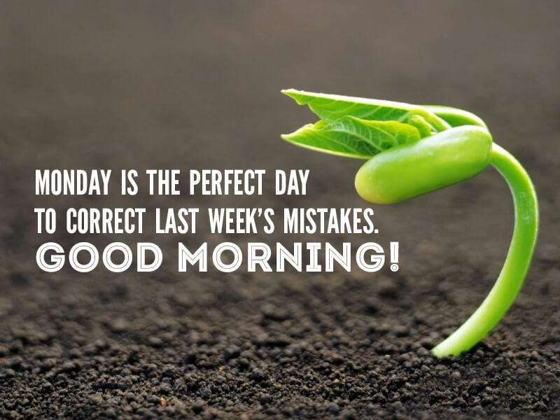 extrainchtech_'s tweet photo. Good Morning from Extra Inch Tech! May we all have a wonderful and prosperous week!
https://t.co/xVcDDVLkx3
#mondaymotivation
#financialsoftwaresolutions https://t.co/LowjzWMapq