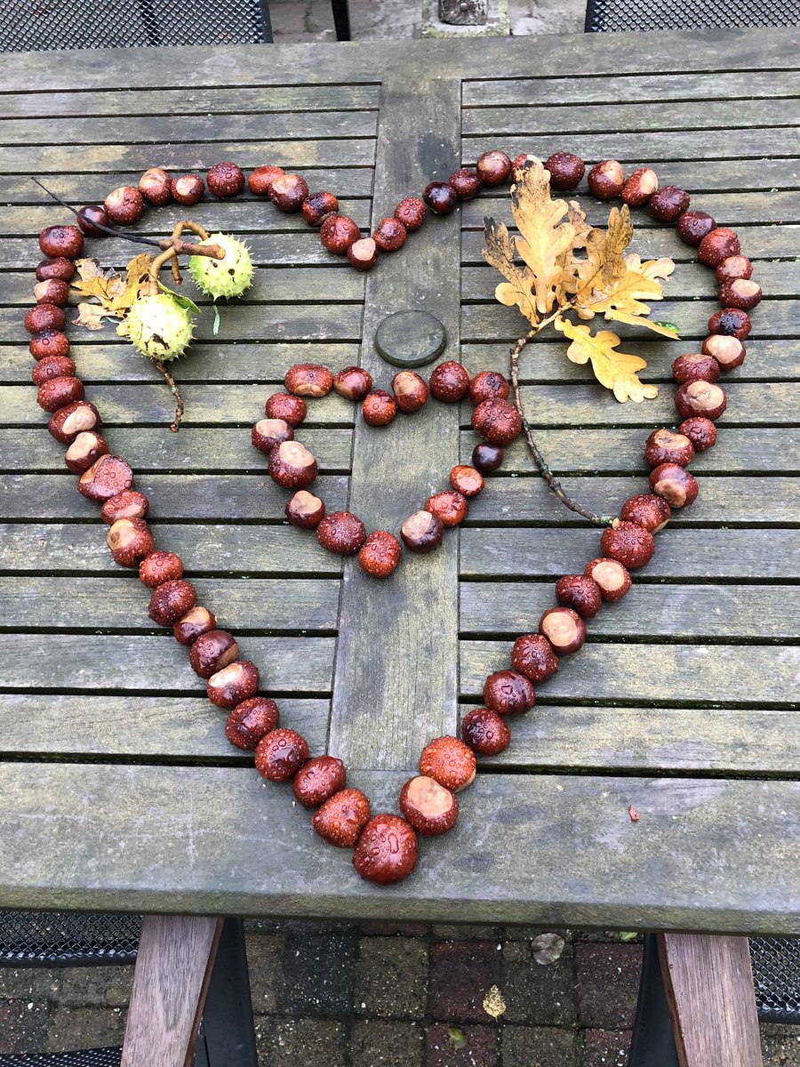 Hunzepleisterpl's tweet photo. Onze weekendgasten waren heel tevreden #herfst in de Hunzepleisterplaats https://t.co/GPCYO5s7m1