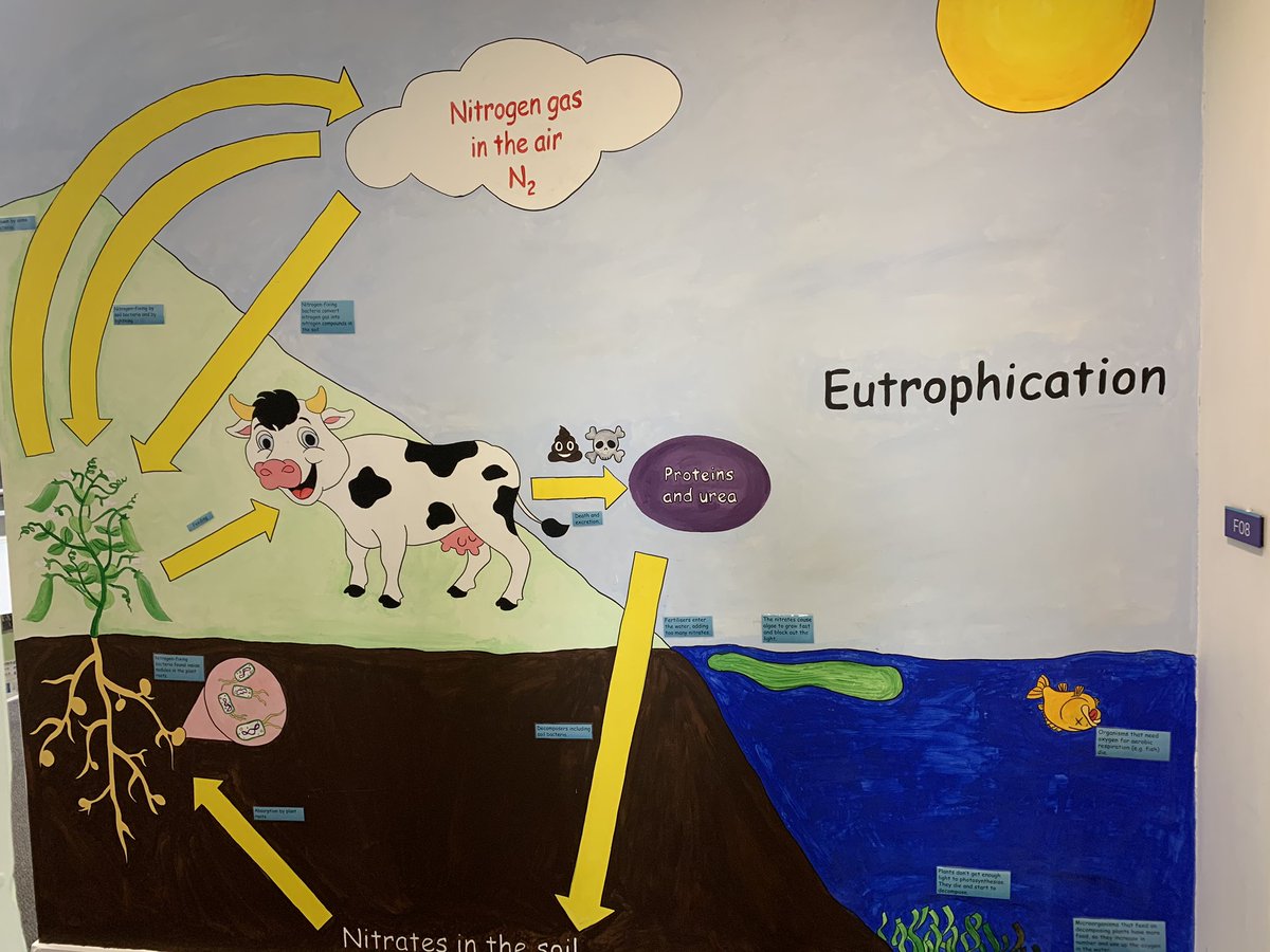 StAnnes_Science's tweet image. Just amazing! These learning walls make us smile every morning @StAnnesAcademy #proud #displays