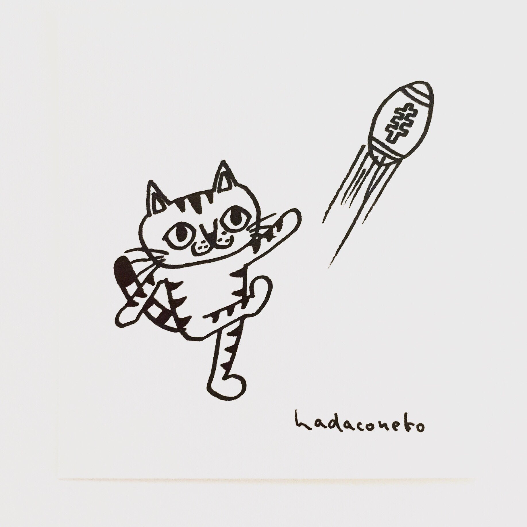 肌子 今日のイラストはコレ ｪ ラグビーボールを蹴り上げる猫 イラスト 猫 ネコ ねこ オリジナル ペン画 アナログ画 絵 猫の絵 白黒猫 キジトラ猫 ラグビー T Co Zhwrorisxn Twitter