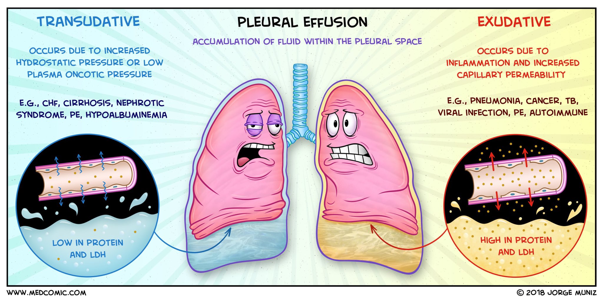 Cetosi diabetiva y cetoacidosi