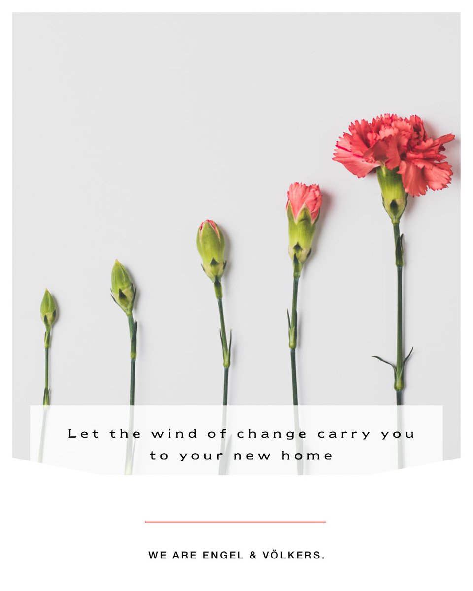 Looking for a change of scenery?  👀

Maybe, it's time for a new home 🏘️

Contact us either via our digtial service link below, or directly so we can help you through that change today! 🚪

ow.ly/59AU50BttU0
