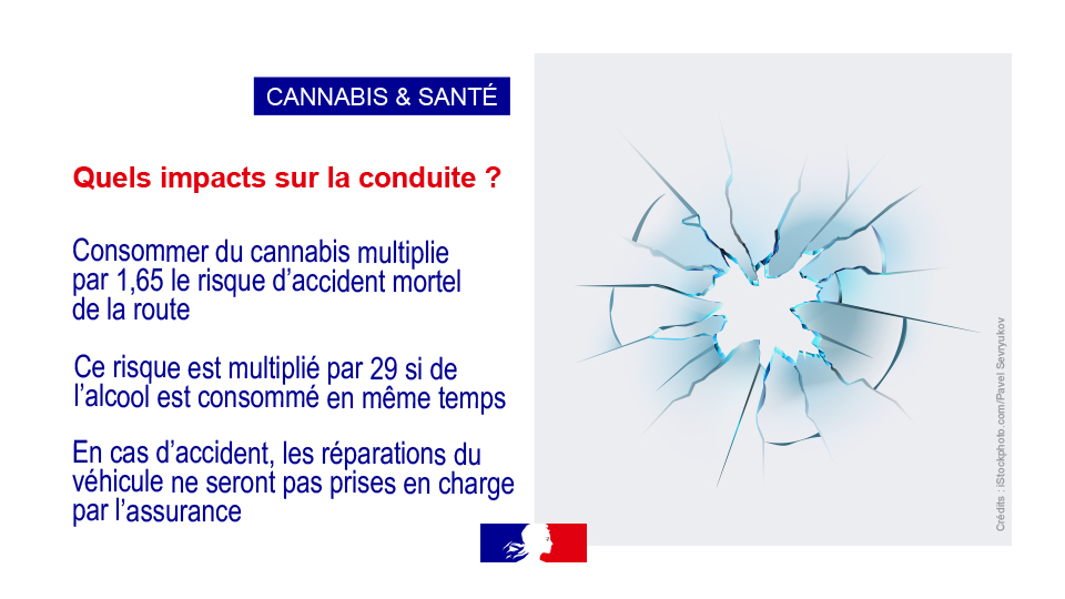 #Prevention | ⚠️ #Cannabis : quels impacts sur la #conduite ?

🚨 Consommer du cannabis multiplie par 1,65 le risque d'accident mortel de la route 

⚠️ et par 29 si de l'#alcool est consommé en même temps

+ d'infos et aide sur <a href="/DroguesInfo/">Drogues info service</a> et <a href="/RoutePlusSure/">Sécurité routière</a>