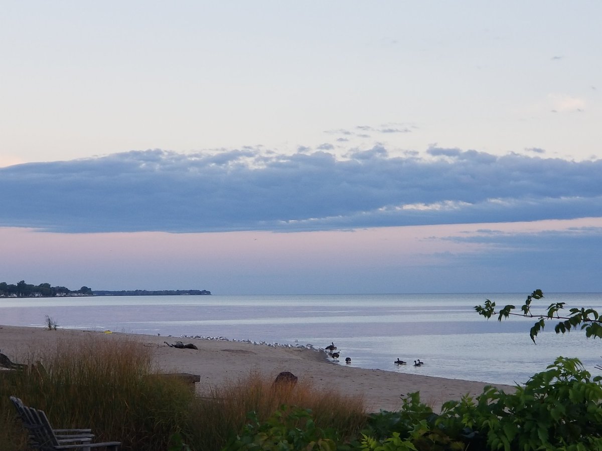 RareCat's tweet photo. Glory in the Lord.
#TopOfTheWeek2U
#HABD ☮❤ https://t.co/Pt2vdmRr9u
