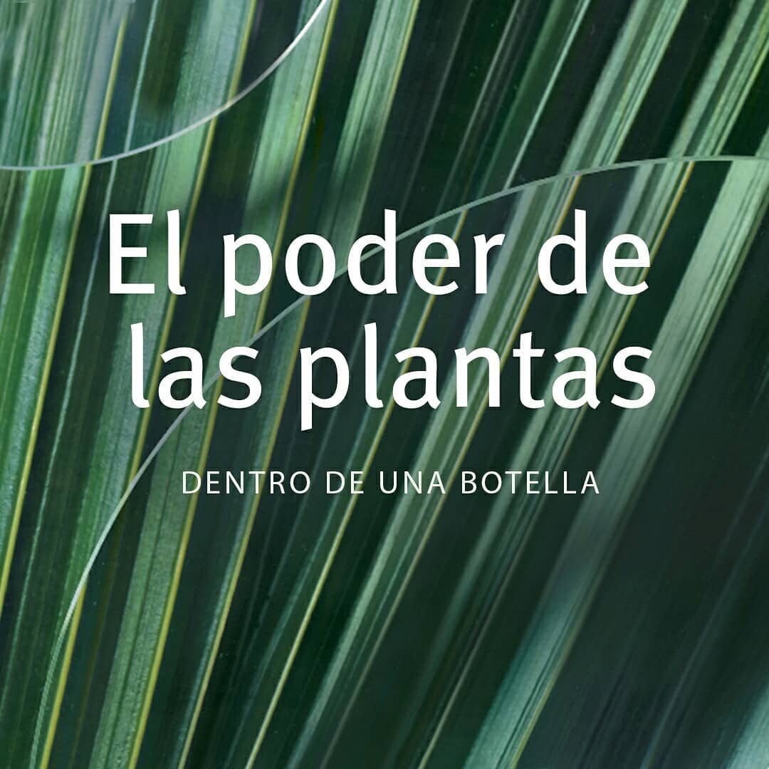 Wapa'm tweet media