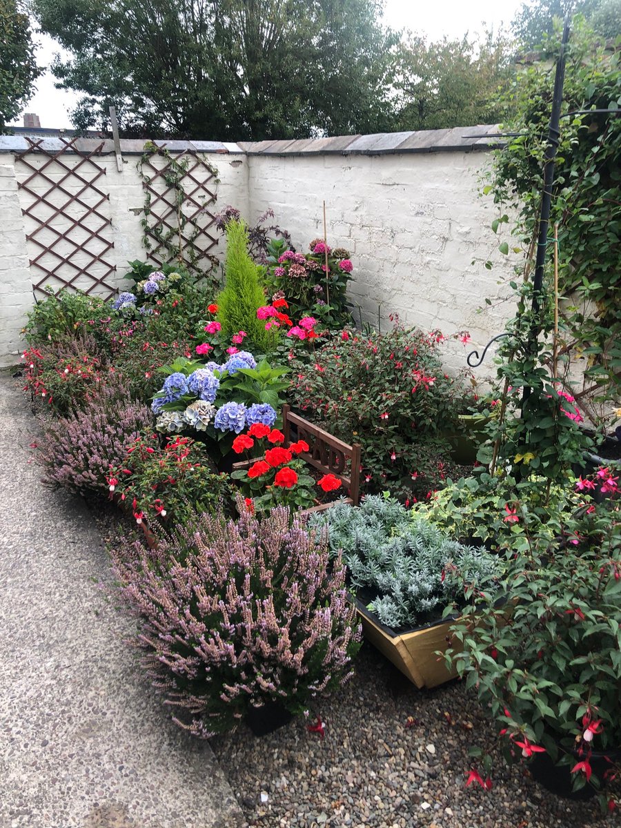 Nacro's tweet photo. During #lockdown one of our tenants in #Staffordshire transformed the yard of one of our properties into a colourful oasis of flowers! 🌻🌹🌷🌼
We’re so impressed by the tenant’s creativity & hard work during what has been a difficult time for many. #housingservice https://t.co/naLlnRAt9u