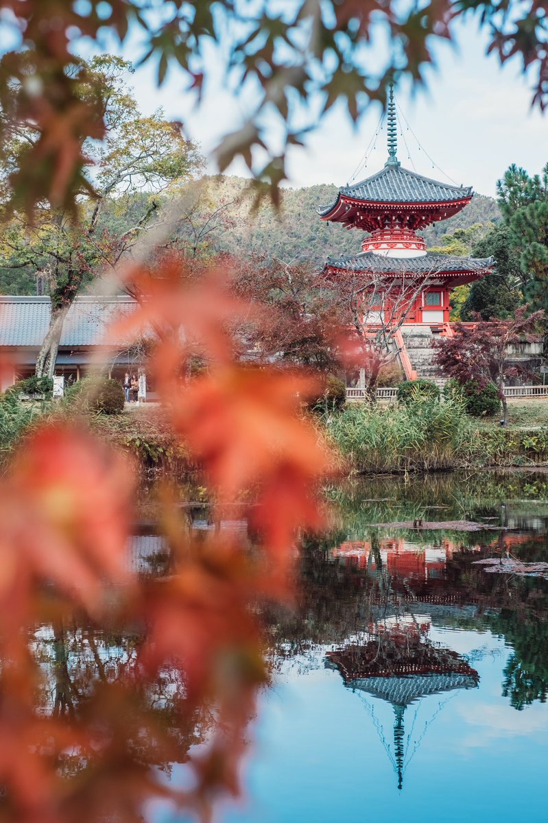 haletoke's tweet image. 待ち遠しい古都の秋
Autumn in Kyoto