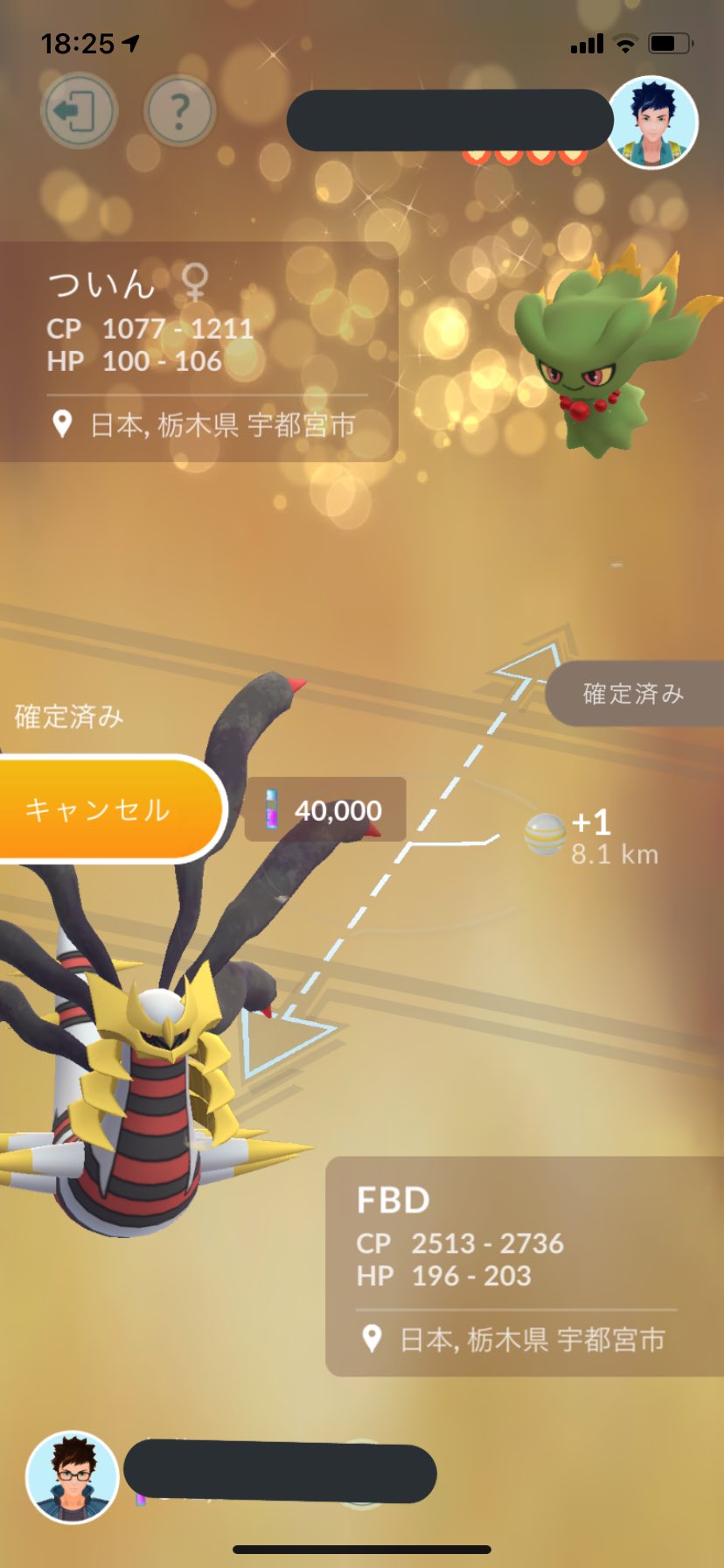ついん ポケモンgo栃木 Twin Rit Twitter
