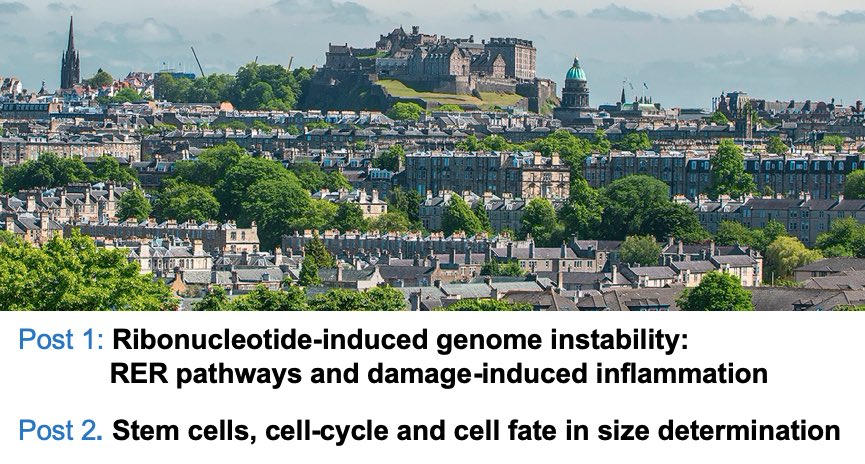 Please share: Two #Postdoc positions available in the lab of Andrew Jackson at MRC Human Genetics Unit, Edinburgh
bit.ly/3mR7t3U
Application deadline 12th Oct