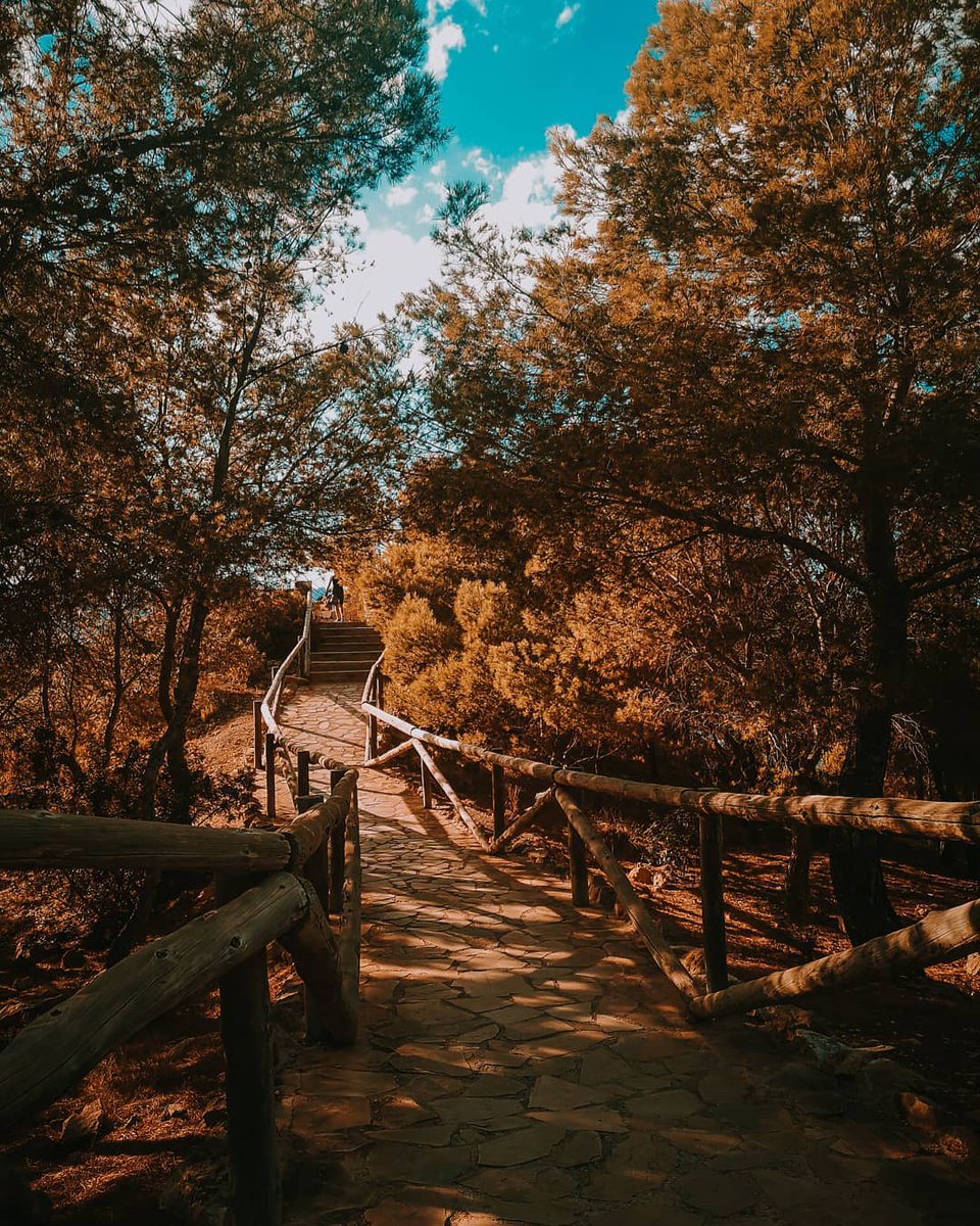 It's mid week! That means a beautiful stroll 🚶 to reload energy and then a bath in a cove with crystal waters 🔋🏖 in the middle of the Sierra Helada #NaturalPark 🌿 #visitBenidorm
📸 @empriview 🥰
#BenidormTeEspera #visitSpain #travel #destination #travelsafety #Nature https://t.co/NHxlLMmLBd