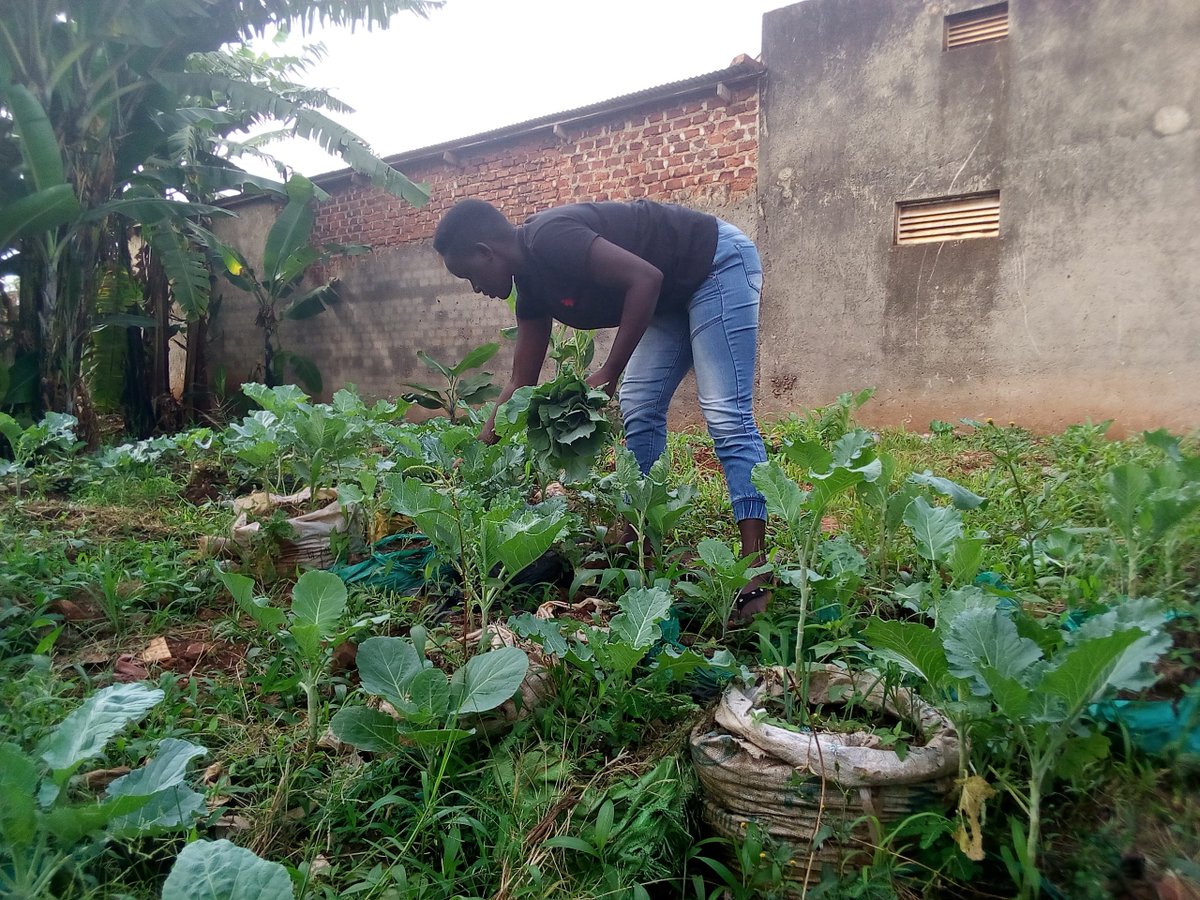 That kind of feeling you get when you harvest your home grown vegetables. We all have a role to play in tackling Malnutrition and hunger starting with home  gardening.