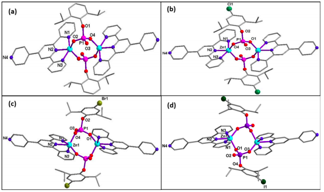 JChemSci's tweet photo. What lies ahead in the world of heterometallic MOFs (metal-organic framework #MOF solids) by way of novel spacer ligands? 
Gulzar Bhat &amp; Prof. @murugavel_r  (@iitbombay ) report 4 new dinuclear Zincophosphates in this new &amp; exciting work !
Full Text PDF 
https://t.co/fVNDy15AvO https://t.co/3wZHLzCrlk