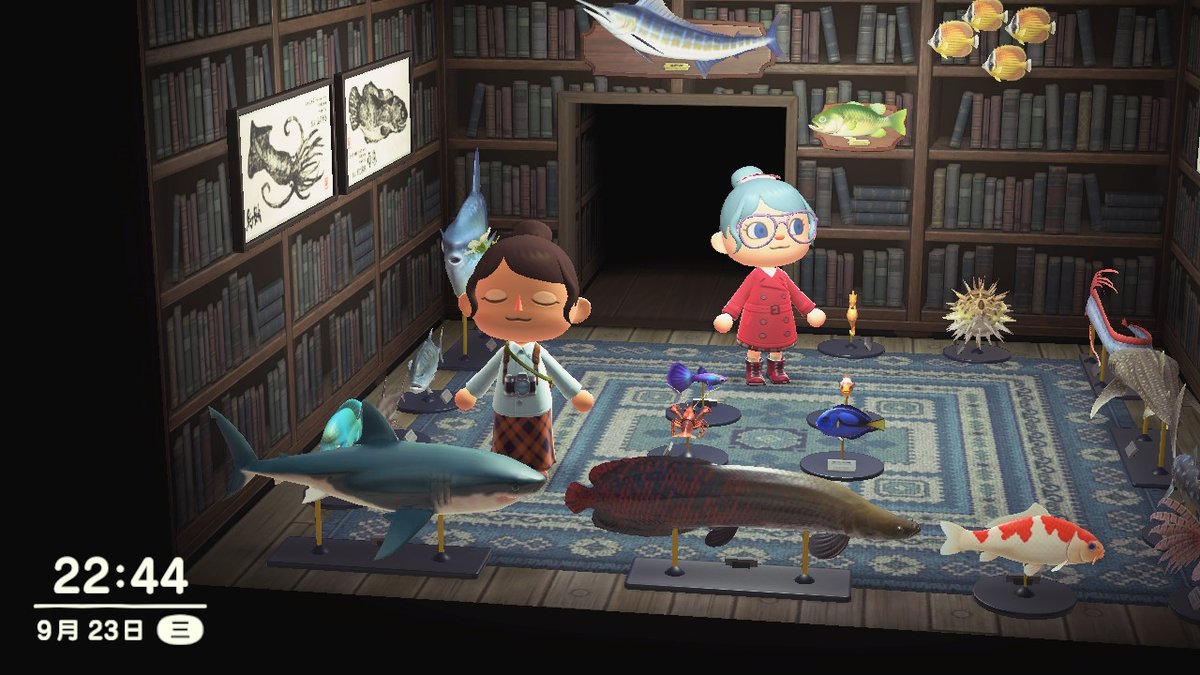 #動物森友會 #AnimalCrossing #ACNH #NintendoSwitch