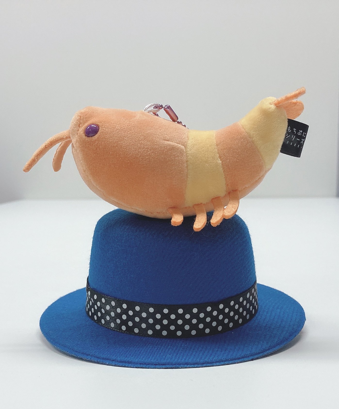 新品　もちぷにウツボBIG～ダーク～　もちぷに水族館ＭＣ　ダークグリーン　セット Amazon.co.jp: 全2種セット もちぷに ウツボ BIG ダークブラック