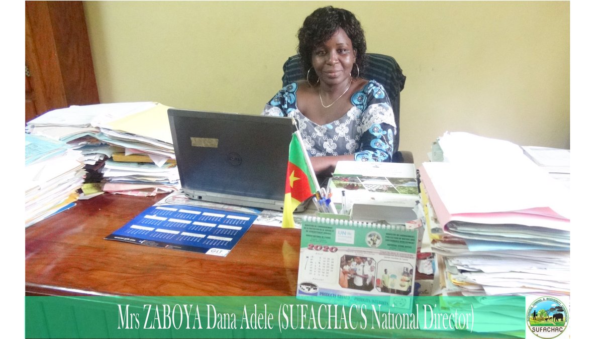 sufachac's tweet image. Today we propose some interviews of the National Director of SUFACHAC project, team members of the project and the trainees on their experiences during the workshop.
JOIN OUR WEBSITE sufachac.org
#workshop #sufachac #agricultura #farming #biodiversity  #soybeans